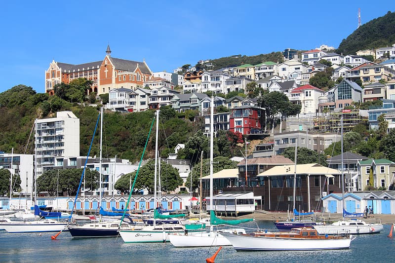 Ships in Wellington, with a background of Houses.