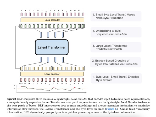 A labeled diagram of the BLT model architecture showing three main components: a Local Encoder at the bottom, a Latent Transformer in the center, and a Local Decoder at the top. Arrows indicate data flow between components. The diagram is annotated with five steps: (1) encoding a byte stream, (2) entropy-based byte grouping via cross-attention, (3) patch prediction by the latent transformer, (4) unpatching to byte sequence, and (5) next-byte prediction by a small transformer. The figure caption explains that BLT dynamically groups bytes and uses cross-attention to enhance information flow between modules.